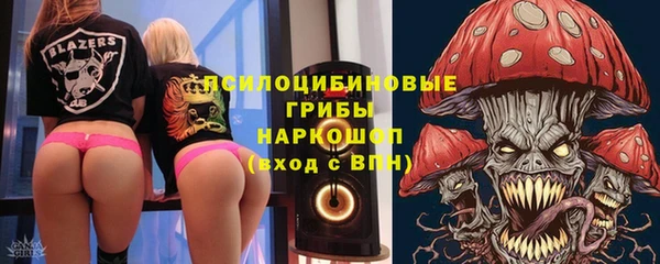 кристаллы Покачи