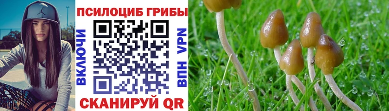 Галлюциногенные грибы мицелий  Купить  Слюдянка